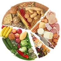 S.O.R.I.S.O., Dietista